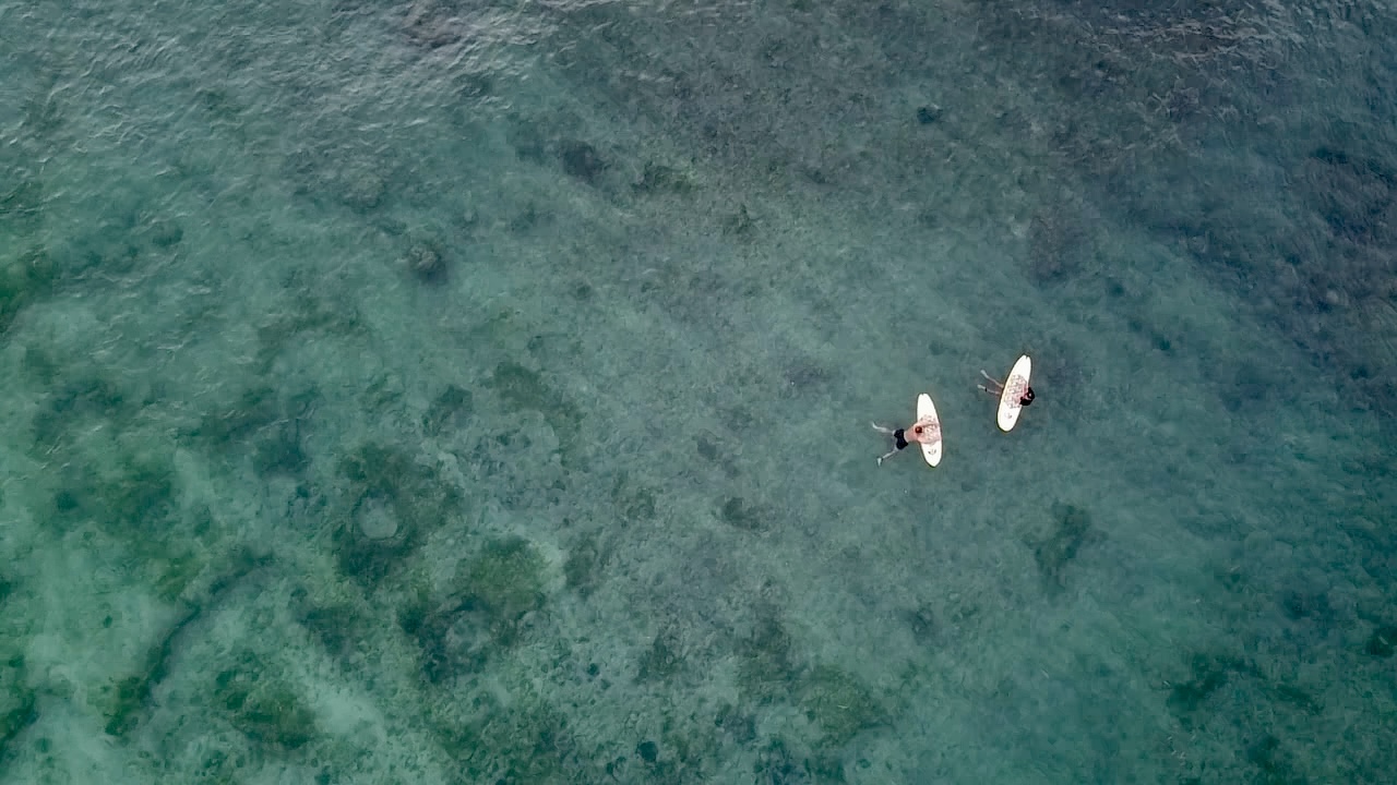 Surfers paddling in clear water
